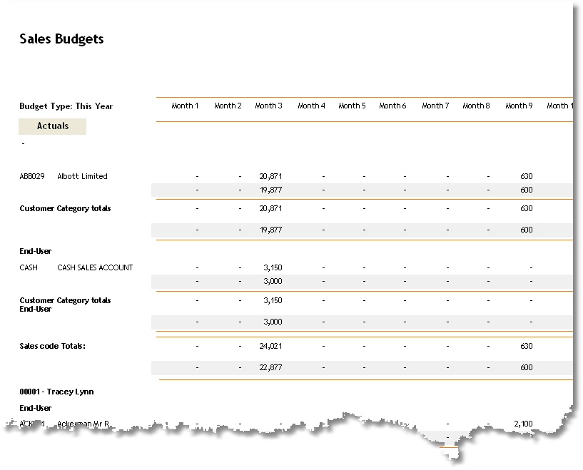 Monthly Budget Sales examples